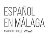 NACEM logo NACEM logo